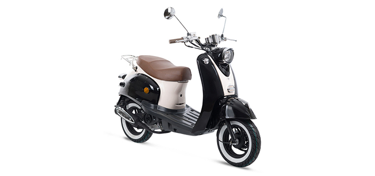 Części zamienne AGM New Flash Euro2 czarny / beżowy