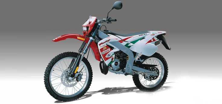 CzÄĆci zamienne Rieju MRX Castrol 2001 2-suwowy