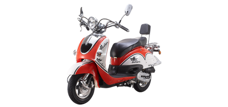 Benzhou YY50QT-21B (10 cali)