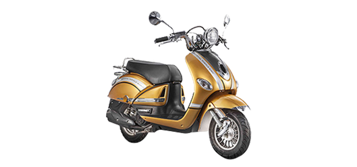 Benzhou YY50QT-21D (10 cali)