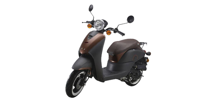 Benzhou YY50QT-36 (10 cali)