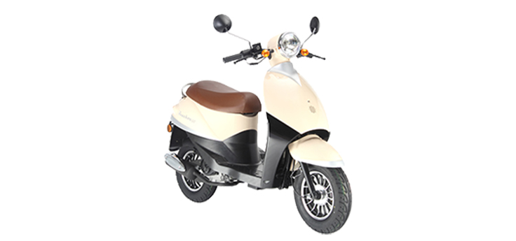 Benzhou YY50QT-41 (10 cali)