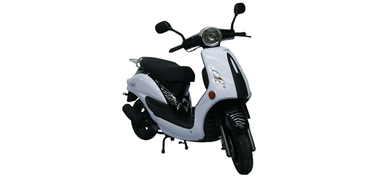 Berini New City (10 cali)