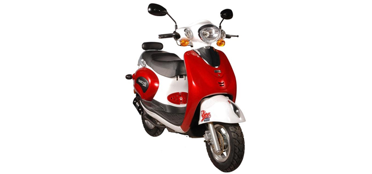 Sachs Bee (10 cali)