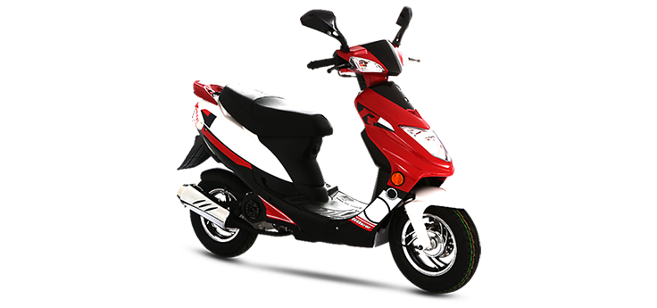 Znen Sun / ZN50QT-11G (10 cali)
