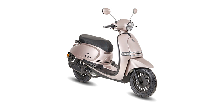 BTC Cruise czarny Edition szampan