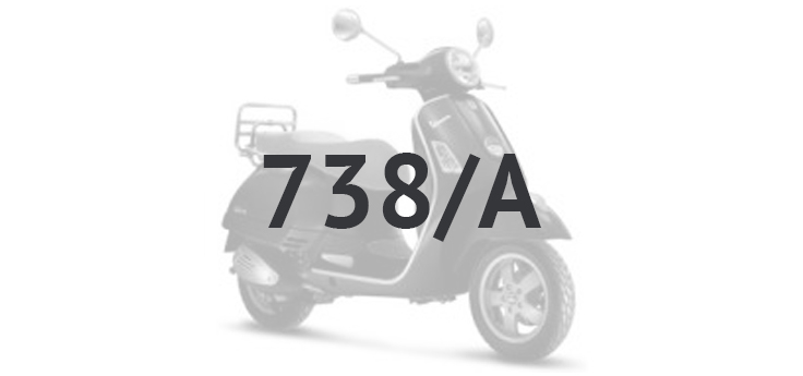 Vespa GTS 250 ie 2005-2009 (z ABS) szary excalibur 738/A