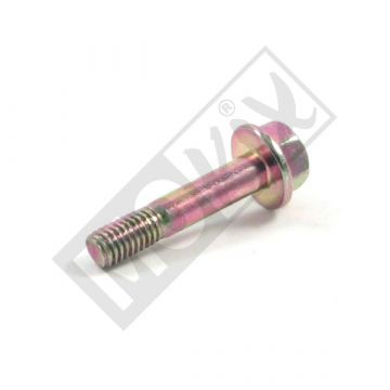 ŚRUBA KLUCZ HAMULCOWY 6X30MM (ZŁOTY KOL)