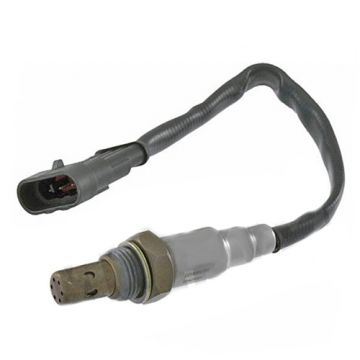 Okno drewniane Piaggio (584344) RMS