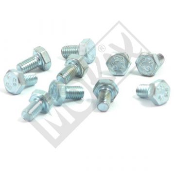 ŚRUBA M 6x 10 ELVZ 8.8 10szt