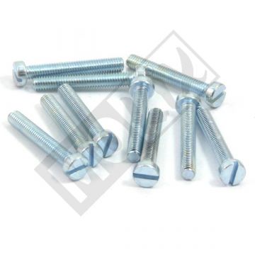 ŚRUBA METALOWA M6x30 ELVZ 10szt