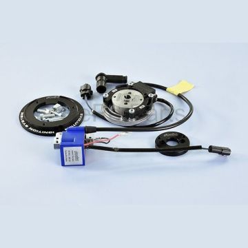 zapłon+wirnik wewnętrzny minarelli hor polini pvl 171.0553