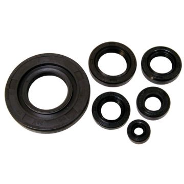 Zestaw uszczelnień Honda mb/mt/mtx 80cc DMP