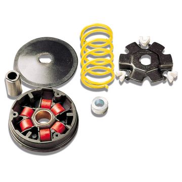 variokit lis/rap/ryba mi/wal malossi 517073