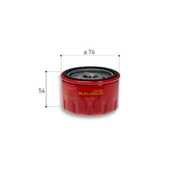 Oliefilter -Malossi Red Chilli- BMW C Sport/C GT/CX 400-650/Kymco AK 550 317897