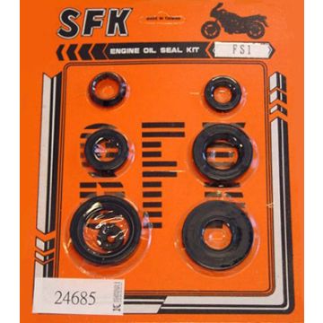 zestaw uszczelnień fs1-dx