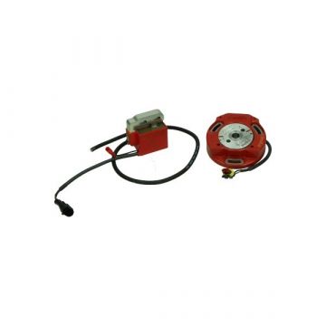 zapłon elektroniczny+wewnętrzny wirnik selettra puch con/mon Italkit