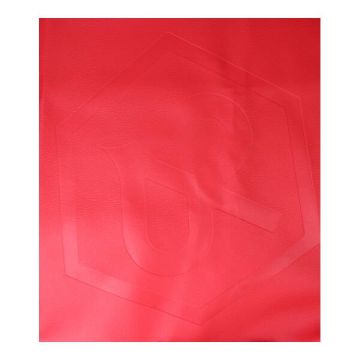 pokład kumpla Exelent Red Piaggio logo SP Zip2000