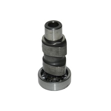 wałek rozrządu cen/scopia4t2v/sportcity piag orig 9692476