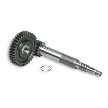 zestaw przekładni podstawowy mc3/pow/pure/run/sr piag 15/38t malossi 6713339
