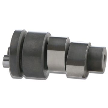 wałek rozrządu gtv250/mp3-250/scopia4t2v 125/180cc malossi 5911962