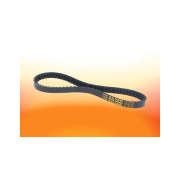 pas kevlar overrange minarelli hor malossi 6114116