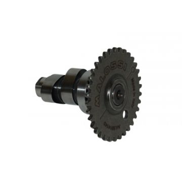 wałek rozrządu agi/ksb/peop4t/sco bao/sco gy6/sento/v-clic/vit malossi 5914143