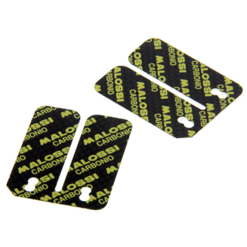 płyta membranowa zestaw skuter 2t 0.3mm węgla malossi 278873.c0