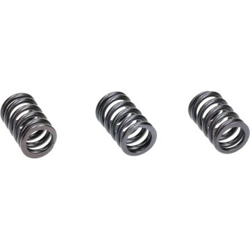 Zestaw sprężyn zaworowych Piaggio Zip/Vespa Primavera/Sprint IGET 4T 3V Polini 228.0133 3 czesciowy