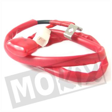 KABEL MASSA PROMO oryginalny
