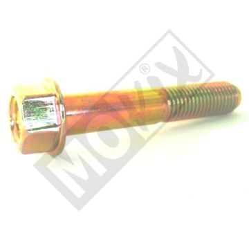 ŚRUBA MYM MIO 10x55