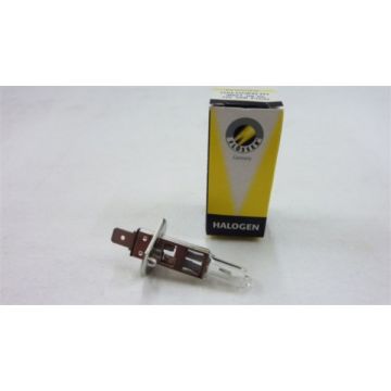 Żarówka P14.5s H1 12V 55W-99752