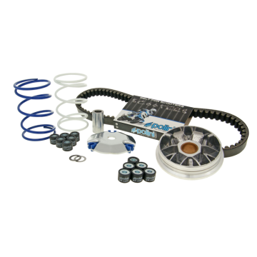 Buxy/SpeedFight/Vivacity Polini Palace Clinic 241.510.2