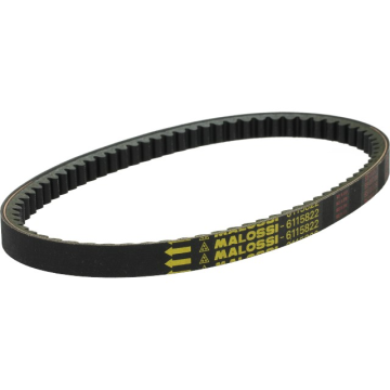 pas kevlar overrange minarelli hor malossi 6114116