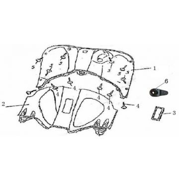Legshield China GT szampan