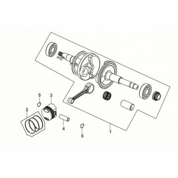 Wal korbowy Sym Fiddle IV 50 E5