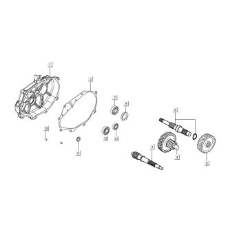 Przesyłka Kymco Ludzie S150i E4