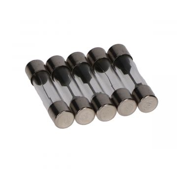 Bezpiecznik szklany 30 mm 10A (5 szt.)