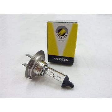 Żarówka PX26d H7 12V 55W-16H1255