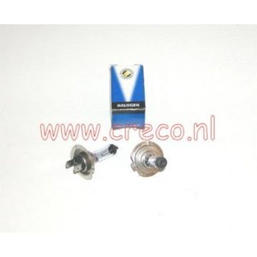 Żarówka H7 Px26d 12V 55W Xenon Look
