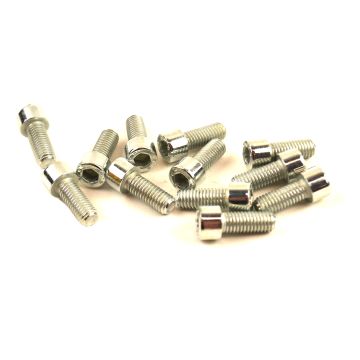 Śruba imbusowa M8x20 ELVZ 12 sztuk