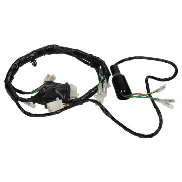 Wiązka przewodów Honda Wallaroo BE/FR (DÓŁ) ELEC