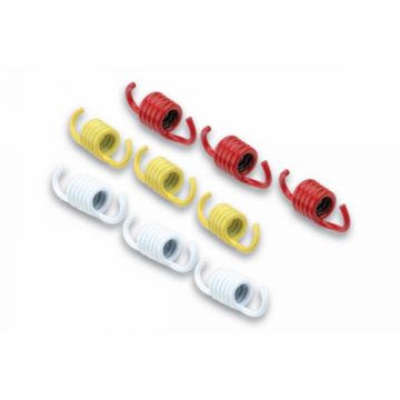 zestaw sprężyn sprzęgła pcx125/prim125/sprint125/sprint150 malossi 2912536