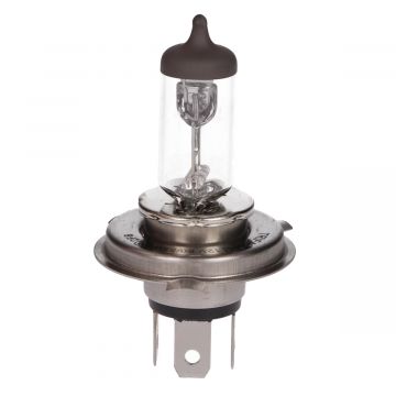 12V 60/55W h4/hs1 p43t Trifa halogenowa