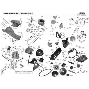 Silnik Rieju Pacific szary 2009 2-suwowy
