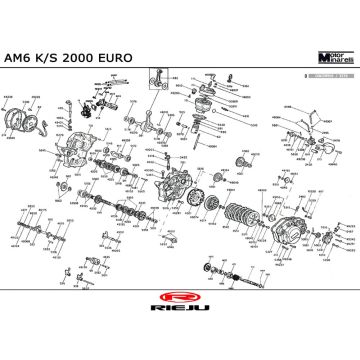 Silnik Rieju RR sport pomarańczowy 2004 2-suwowy