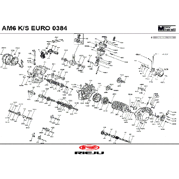 Silnik Rieju Rs2 wyścigowy czarny 2010 2-suwowy