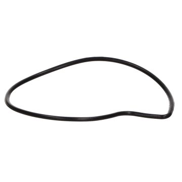 O-ring pompy wody Piaggio Beverly 125/250/300/Piaggio MP3 250/300 oryginał