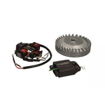 Zaplon+koło zamachowe six electric ciao/citta/si BGM 1315g koło zamachowy