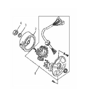 Zapłon Generic Roc czerwony 2010 2-suwowy